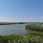 Parco Delta del Po: Scopri Tutto Quello che Devi Sapere sul Parco Naturale Iconico