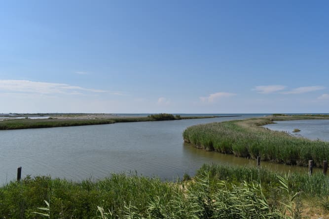 Parco Delta del Po: Scopri Tutto Quello che Devi Sapere sul Parco Naturale Iconico