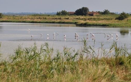 I 10 luoghi più belli da visitare vicino al Delta del Po: una guida completa