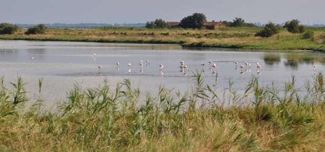 I 10 luoghi più belli da visitare vicino al Delta del Po: una guida completa