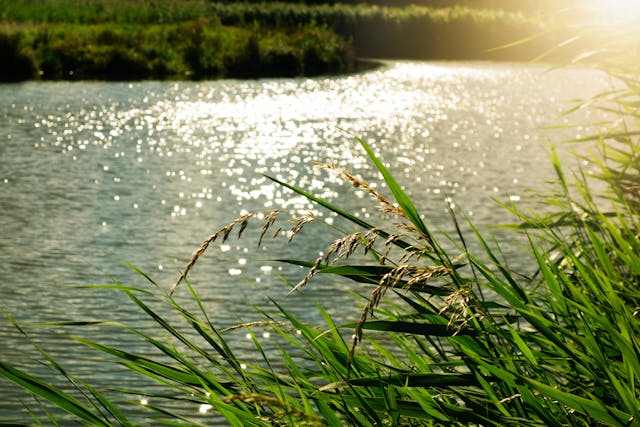 5 Curiosità sul fiume Po